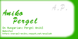 aniko pergel business card